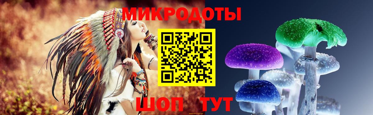 Псилоцибиновые грибы Psilocybe  хочу   Ижевск  Вход с VPN 