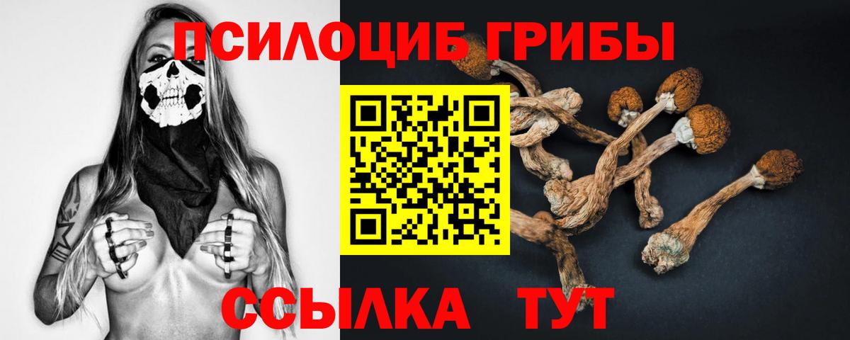 Псилоцибиновые грибы ЛСД Ижевск